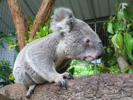 Birdland Animal Park